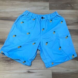 RUFUS & ROYCE Shorts Mens Small Blue Pineapple Print American Prep 8"